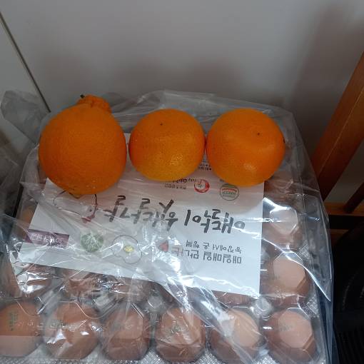 네이버 MY플레이스