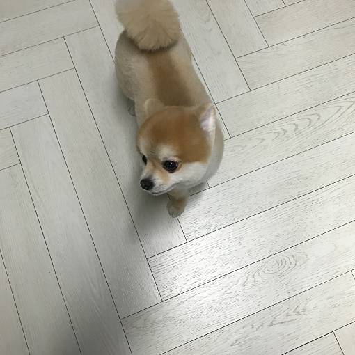 네이버 MY플레이스
