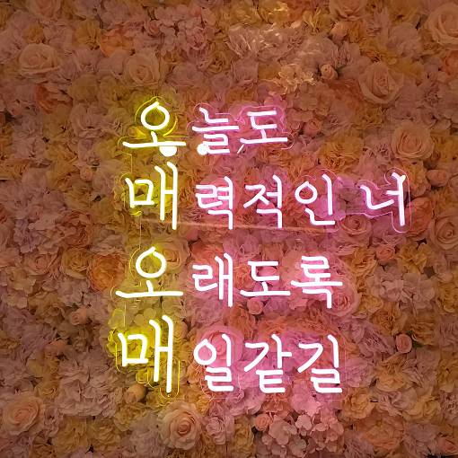화이팅8177님의 MY플레이스
